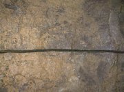 Summer '06 Sunriver 163 